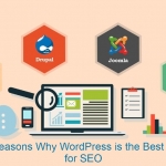 10 Reasons Why WordPress is the Best CMS for SEO