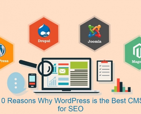 10 Reasons Why WordPress is the Best CMS for SEO